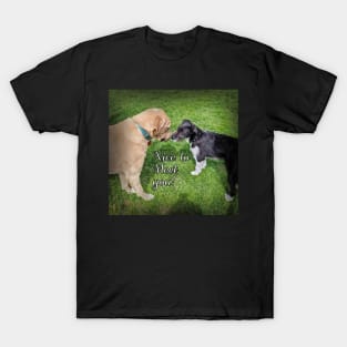 Nice to meet you Puppies T-Shirt